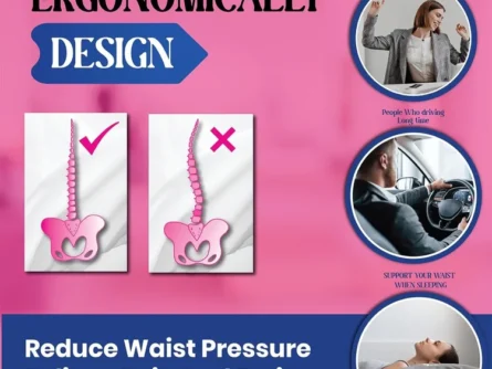 BBL Lumbar Support Pillow for Office Chair | Detachable & Breathable - Image 3